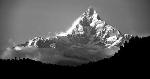 �����, ����������� �� ���������