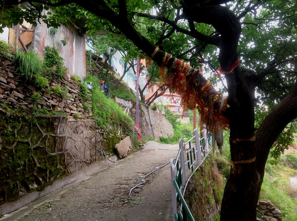 ��� � �����